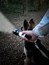 UNI-COM UNC68747 Rechargeable Torch with Integrated Lantern 4